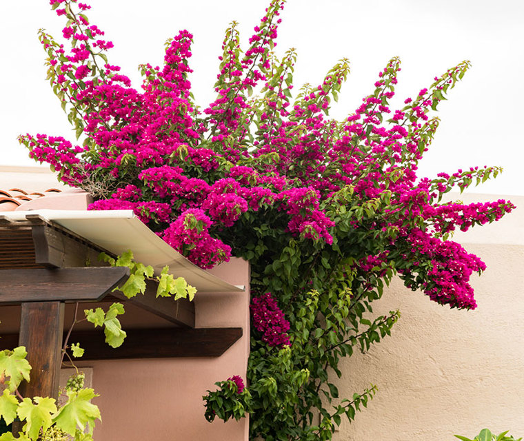 Villa Archanes Outdoor Detail